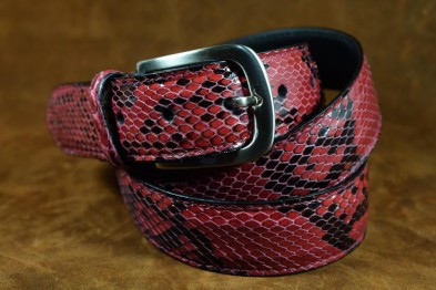 PYTHON - RASPBERRY RED