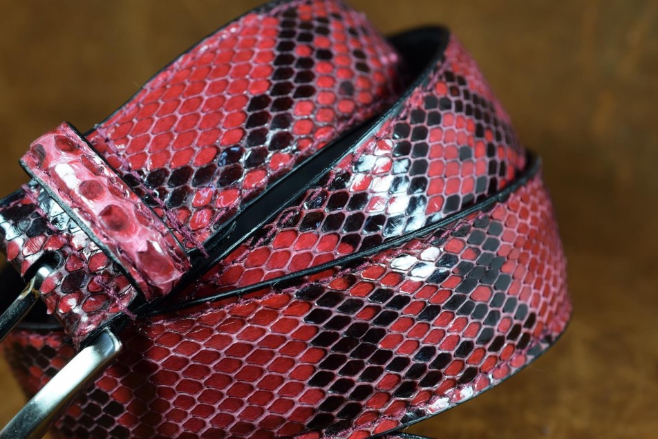 PYTHON - RASPBERRY ROT