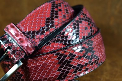 PYTHON - RASPBERRY ROT