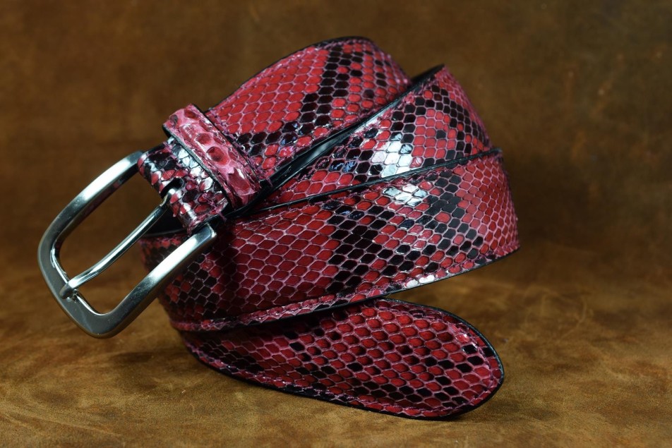 PYTHON - RASPBERRY RED