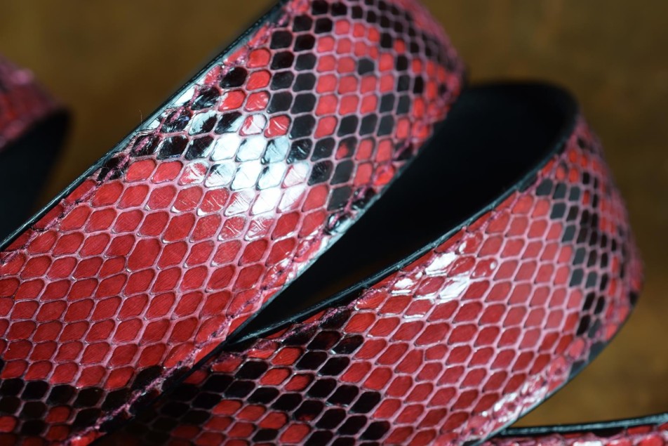 PYTHON - RASPBERRY RED