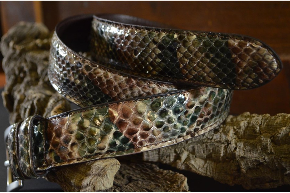 PYTHON - AFRICA SHINY
