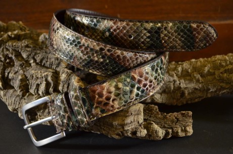 PYTHON - AFRIKA GLANZ