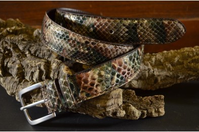 PITÓN - AFRICA BRILLO