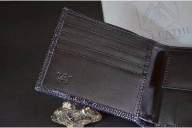 ROMA 1 - LIZARD - BLUE SHINY