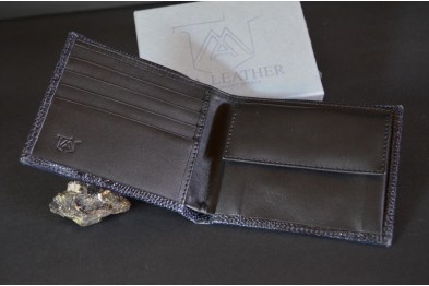 ROMA 1 - LIZARD - BLUE SHINY