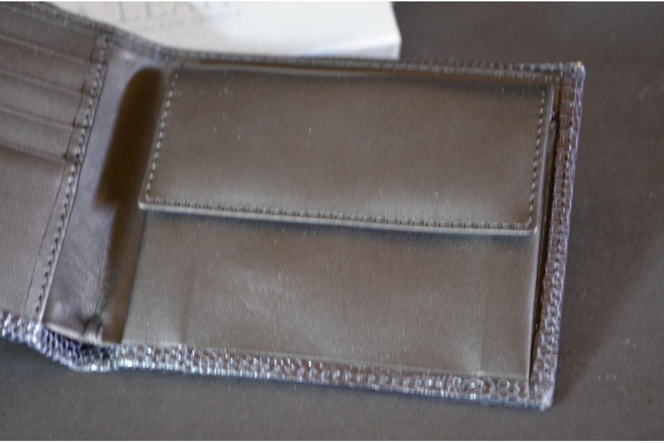 ROMA 1 - LIZARD - BLUE SHINY