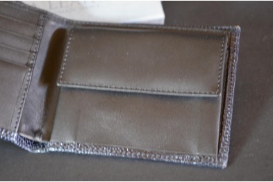 ROMA 1 - LIZARD - BLUE SHINY