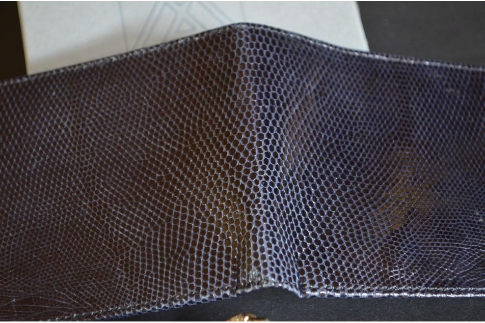 ROMA 1 - LIZARD - BLUE SHINY