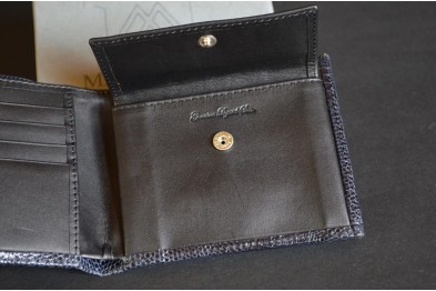 ROMA 1 - LIZARD - BLUE SHINY