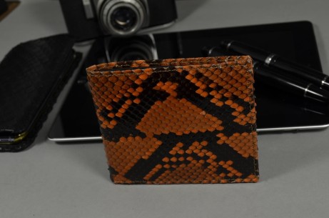 FIRENZE 57 - PYTHON BACK - HONIG BRAUN
