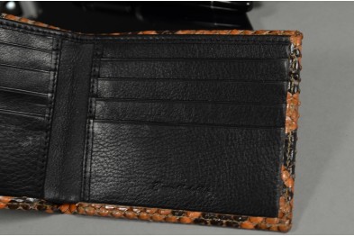 FIRENZE 57 - PYTHON - HONIG BRAUN