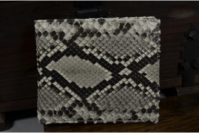 ROMA 23 - PYTHON - GRAU GLANZ