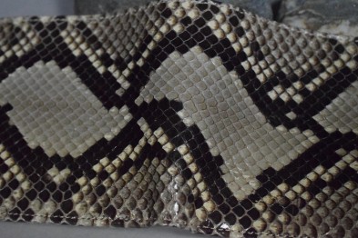 ROMA 58 - PYTHON - GRAU GLANZ