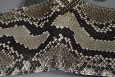 ROMA 59 - PYTHON - GREY SHINY