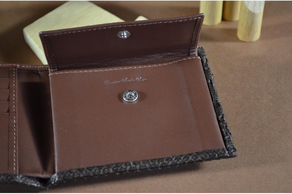 ROMA 4 - PYTHON - BROWN MATTE