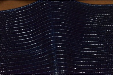 ROMA 19 - LIZARD - BLUE DARK