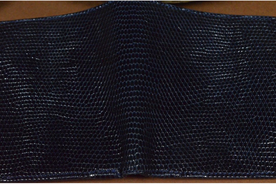 ROMA 20 - LIZARD - BLUE DARK