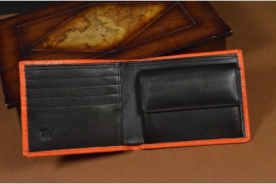 ROMA 22 - ECHSE - ORANGE GLANZ