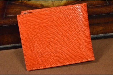 ROMA 22 - ECHSE - ORANGE GLANZ