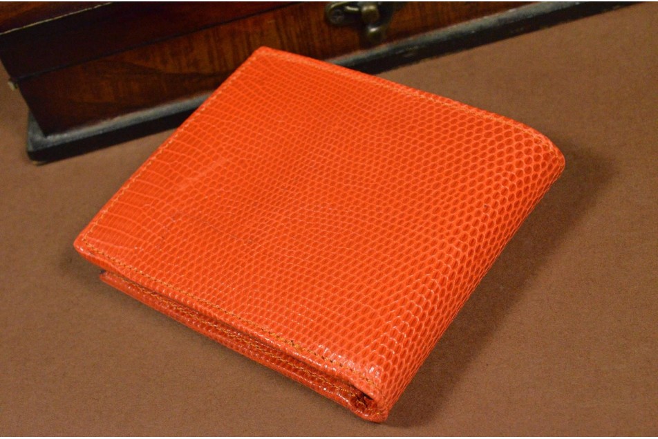 ROMA 22 - ECHSE - ORANGE GLANZ