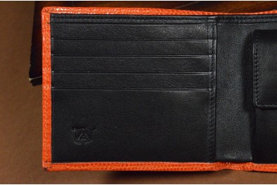 ROMA 22 - ECHSE - ORANGE GLANZ