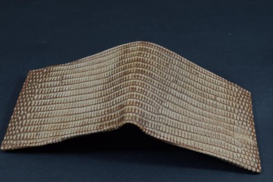 ROMA 37 - LAGARTO - MARRON SPOTT