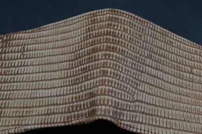 ROMA 37 - LAGARTO - MARRON SPOTT