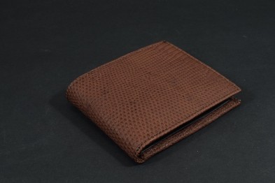 ROMA 38 - ECHSE - BRAUN