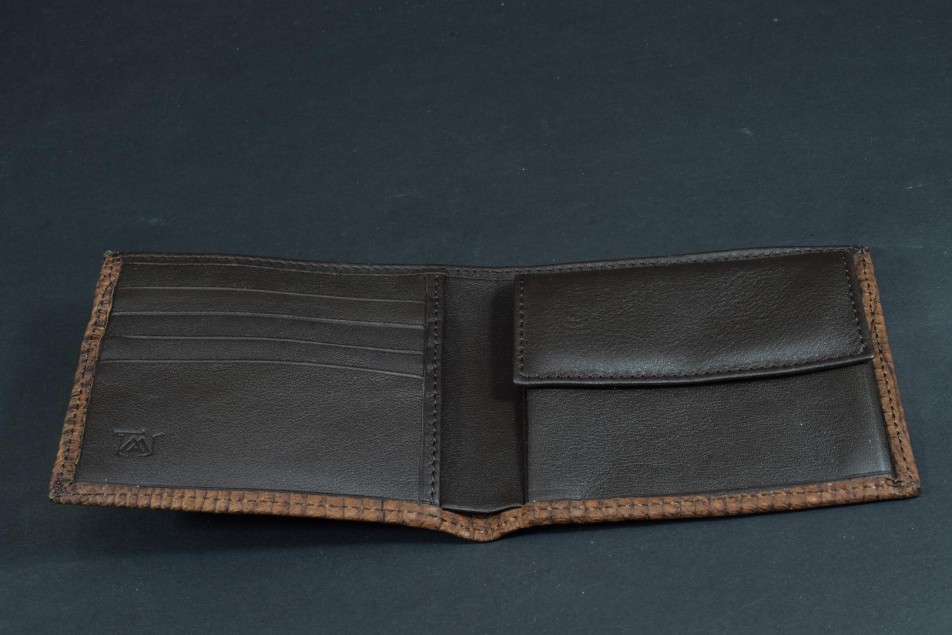 ROMA 39 - LAGARTO - MARRON