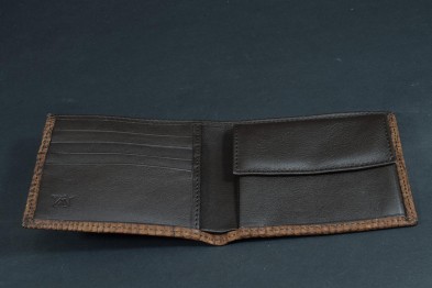 ROMA 39 - ECHSE - BRAUN