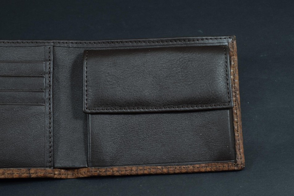 ROMA 39 - LIZARD - BROWN