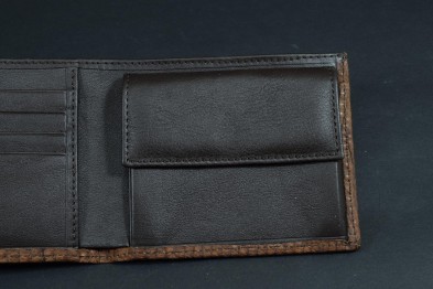 ROMA 39 - LIZARD - BROWN