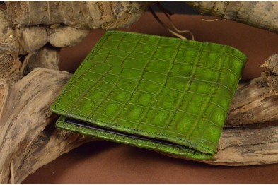 ROMA 8 - CROCODILE - GREEN