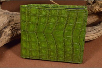 ROMA 8 - CROCODILE - GREEN