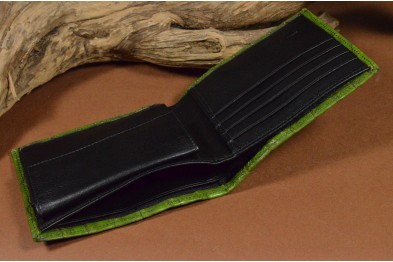 ROMA 8 - CROCODILE - GREEN