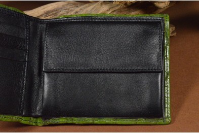 ROMA 8 - CROCODILE - GREEN