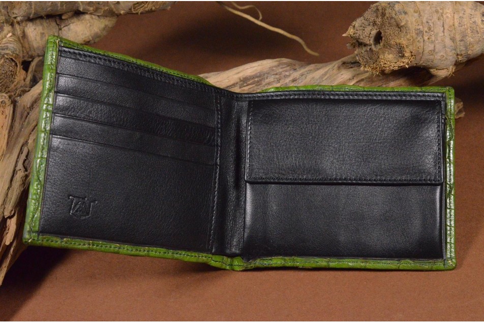 ROMA 8 - CROCODILE - GREEN