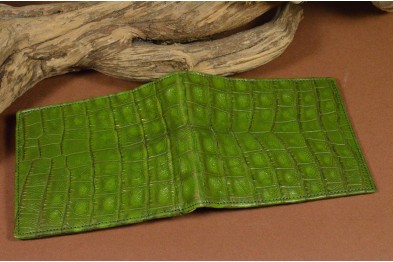 ROMA 8 - CROCODILE - GREEN