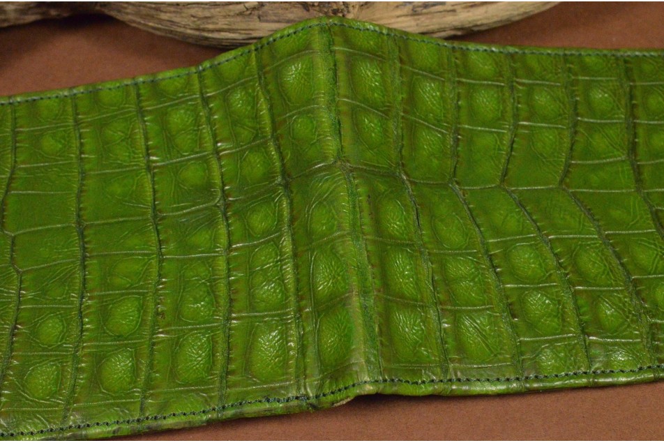 ROMA 8 - CROCODILE - GREEN