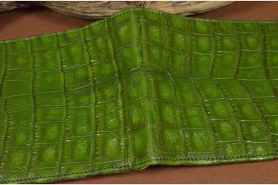 ROMA 8 - COCODRILO - VERDE
