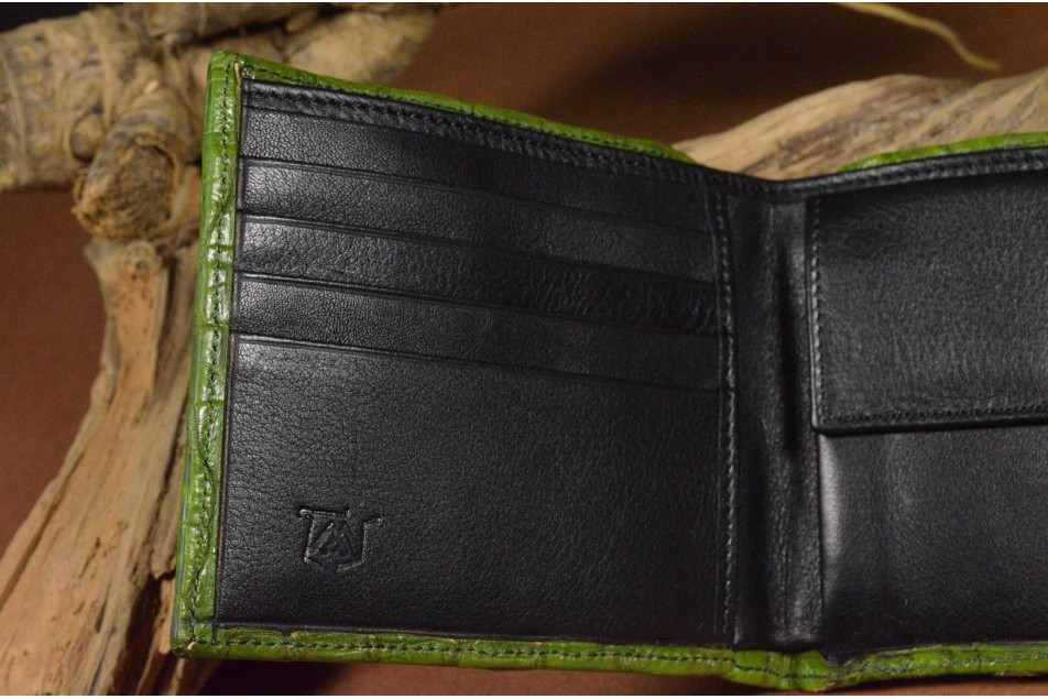 ROMA 8 - CROCODILE - GREEN