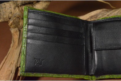 ROMA 8 - CROCODILE - GREEN
