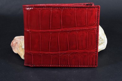 FIRENZE 68 - ALLIGATOR - ROT