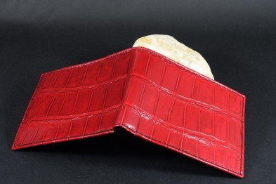 FIRENZE 68 - ALLIGATOR - ROT