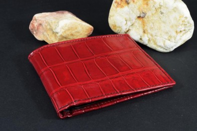 FIRENZE 68 - ALLIGATOR - ROT