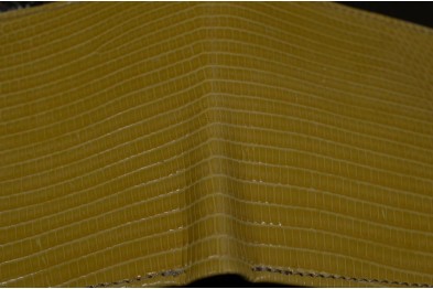 FIRENZE 76 - ECHSE - GELB