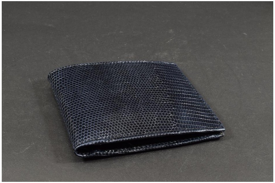 FIRENZE 109 - LIZARD - DARK BLUE