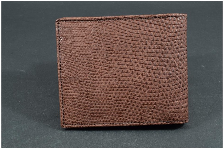 FIRENZE 112 - LIZARD - BROWN