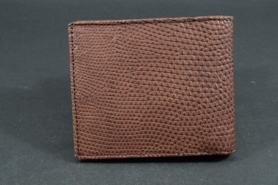 FIRENZE 112 - LIZARD - BROWN